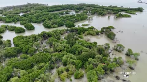 Sequenza spot I1 (HD) - Domenica 20 Aprile 2025 (9 sequenze + SA Live + meteo + tit. SA, Pasqua)