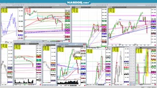 Oct24 Cattle goes limit down 3 in 6 days! funds sell, Argentina Melei maylay