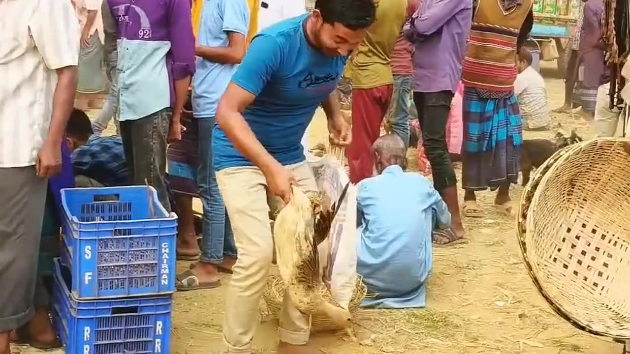 Bazar or maje suri korer