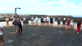 Three die as heavy seas batter Spanish island of Tenerife