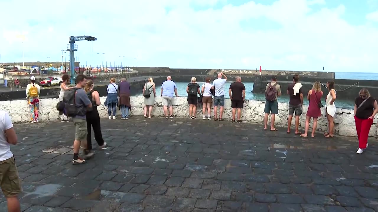 Three die as heavy seas batter Spanish island of Tenerife