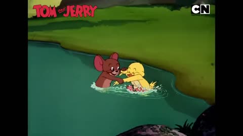 Tom & Jerry 😺🐭_ World Teacher's Day _ Chaos Class In Session! 😆_ Cat and Mouse