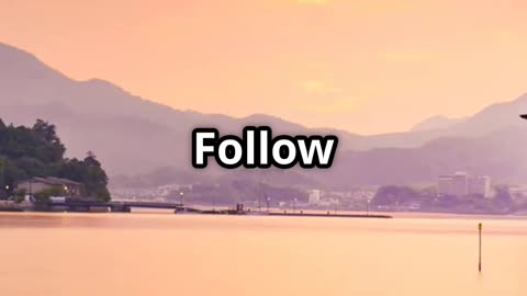 Naoshima: Japan’s Island Where Art Grows!