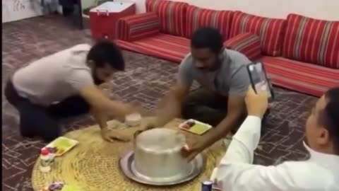 funnyvideosdaily