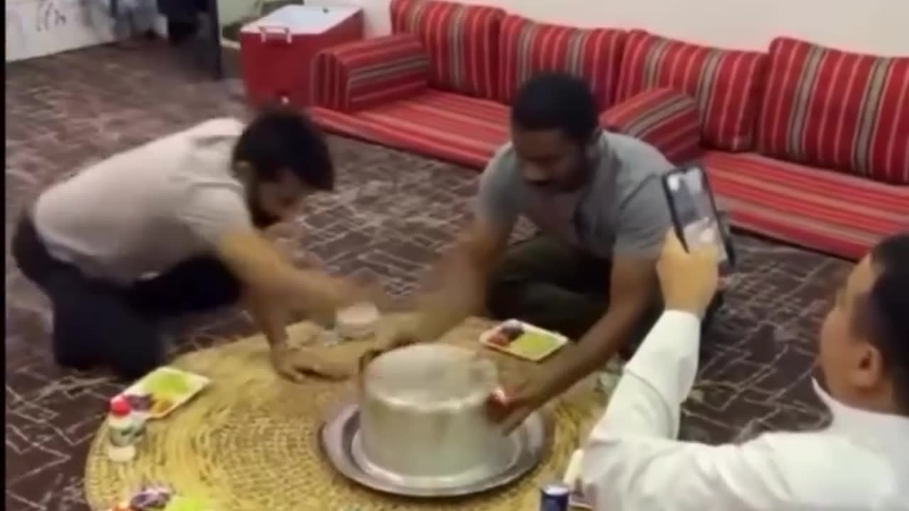funnyvideosdaily