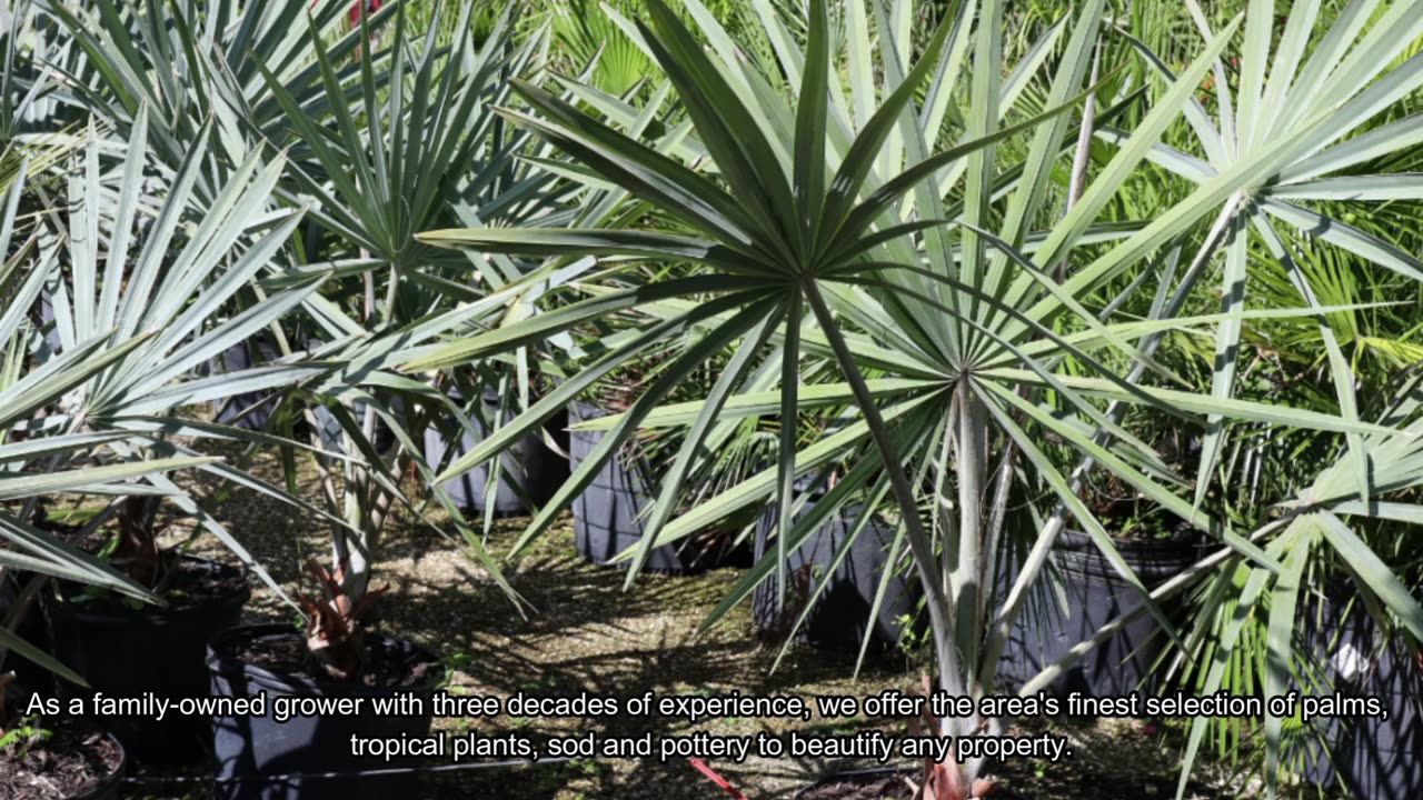 Beltran's Nursery & Landscape in Punta Gorda