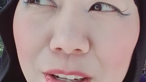 Portugal Diaries #11 kitty