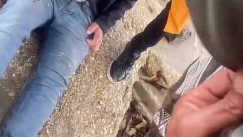 The situation in Gaza is truly tragic