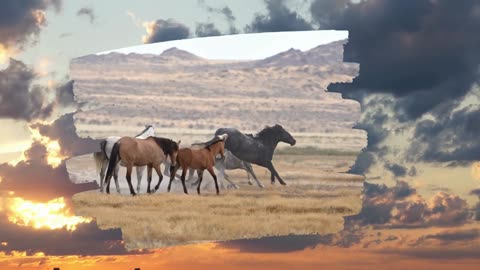 Vision of the Rider