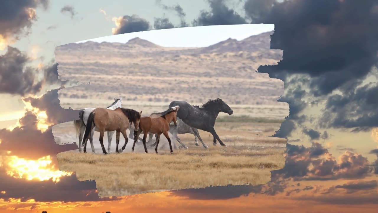 Vision of the Rider