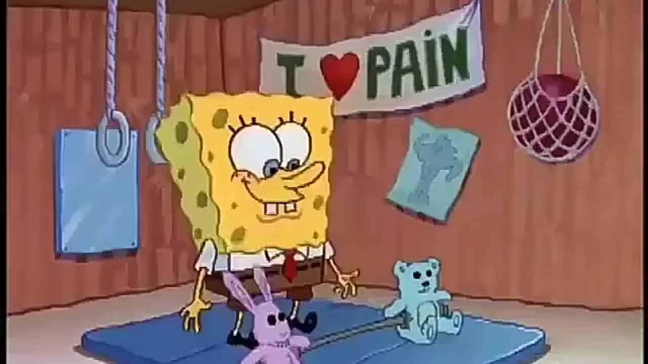 BOB SPONJA
