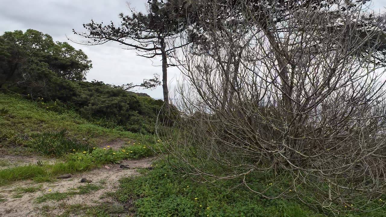 BIKE RIDE pela MS S06E01 27th of MAR 2K25 PART 17