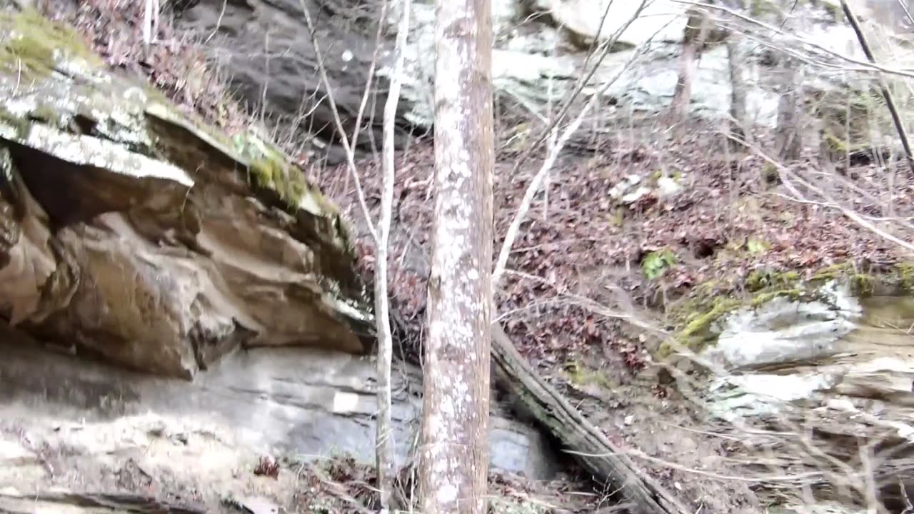 Flock it Farm: FOUND: Hidden treasure on our property?