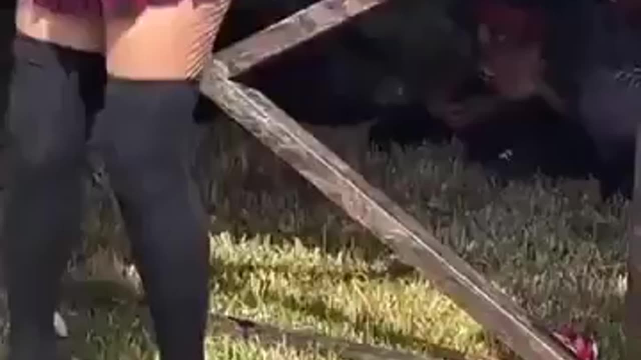 🤣👀 You Won't Believe This Front Row View! | FunFM