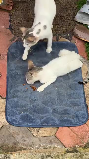 നോക്കിയിരിക്കാതെ_കഴിക്കങ്ങോട്ട്😂