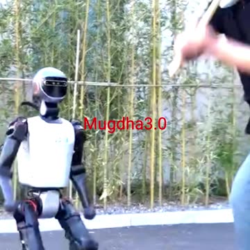 Kung Fu Robot! #shorts #kungfu #robot