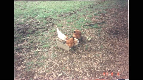 1997 sep