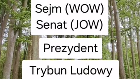 Demokracja Pryncypialna 🍀 - Lektor - Część 4
