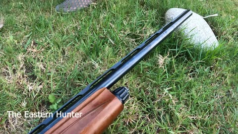 Best Semiautomatic Shotgun of 2024 #review