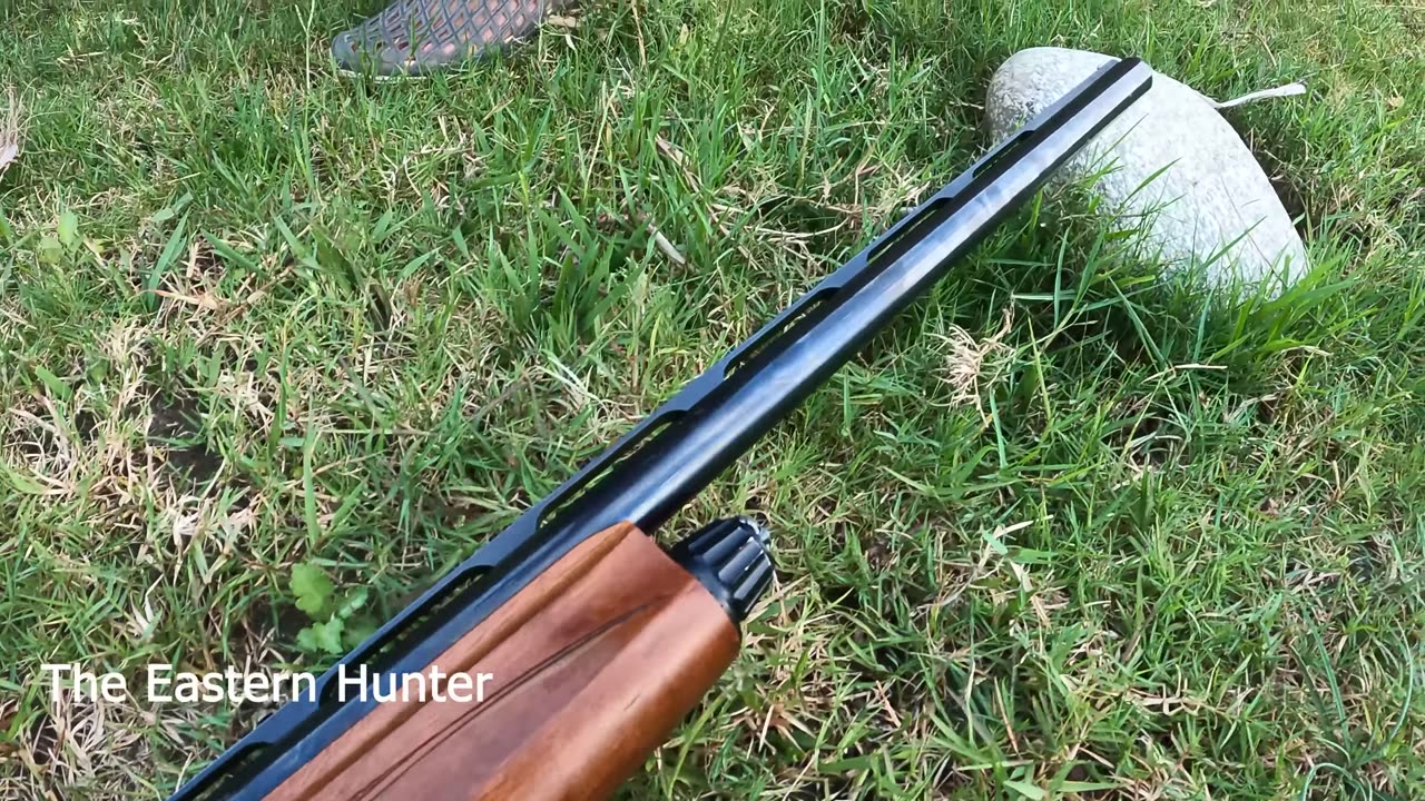Best Semiautomatic Shotgun of 2024 #review