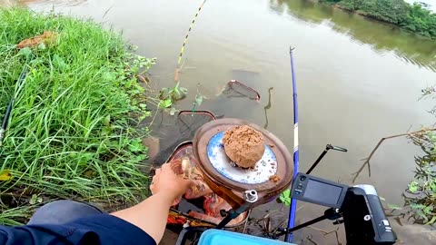 Rudd Worm Baiting in Lake Grass Lines
