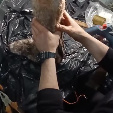 Russians Hiding Bombs in Dead Animals Again