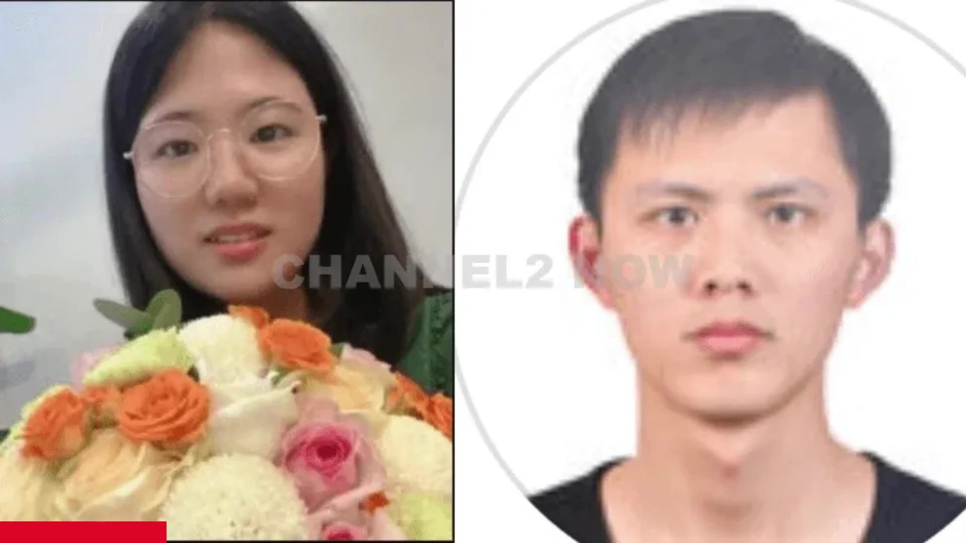 Disturbing Videos I Cannot Explain