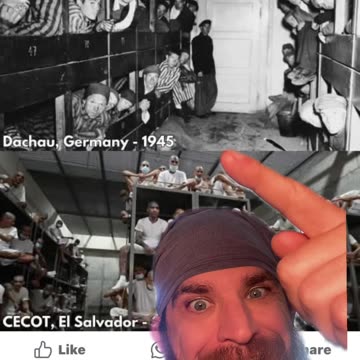 Diddlercrats and their Memes #Memes #Democrats #TheyThinkThey'reTheSame #NotTheSame #TadpoleTriplett