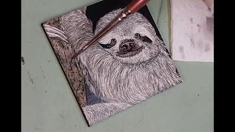 Three-toed Sloth - Mini Scratchboard Drawing