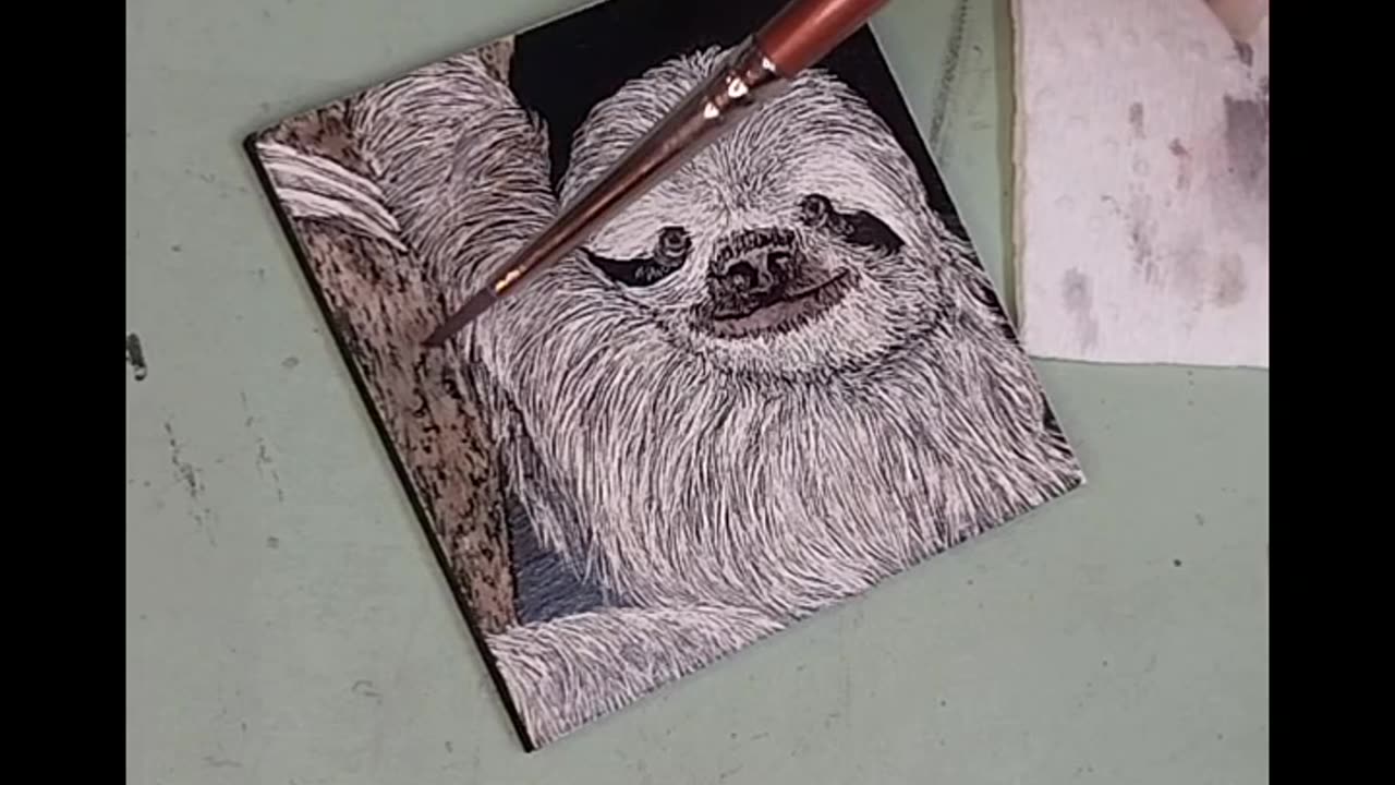 Three-toed Sloth - Mini Scratchboard Drawing