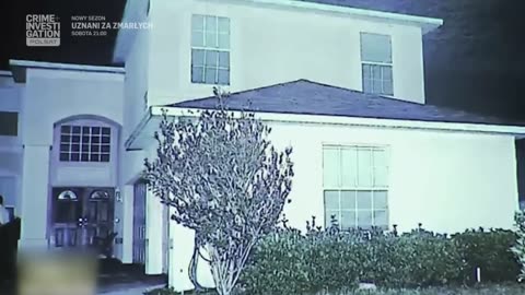 COURT CAM 42 lektor pl