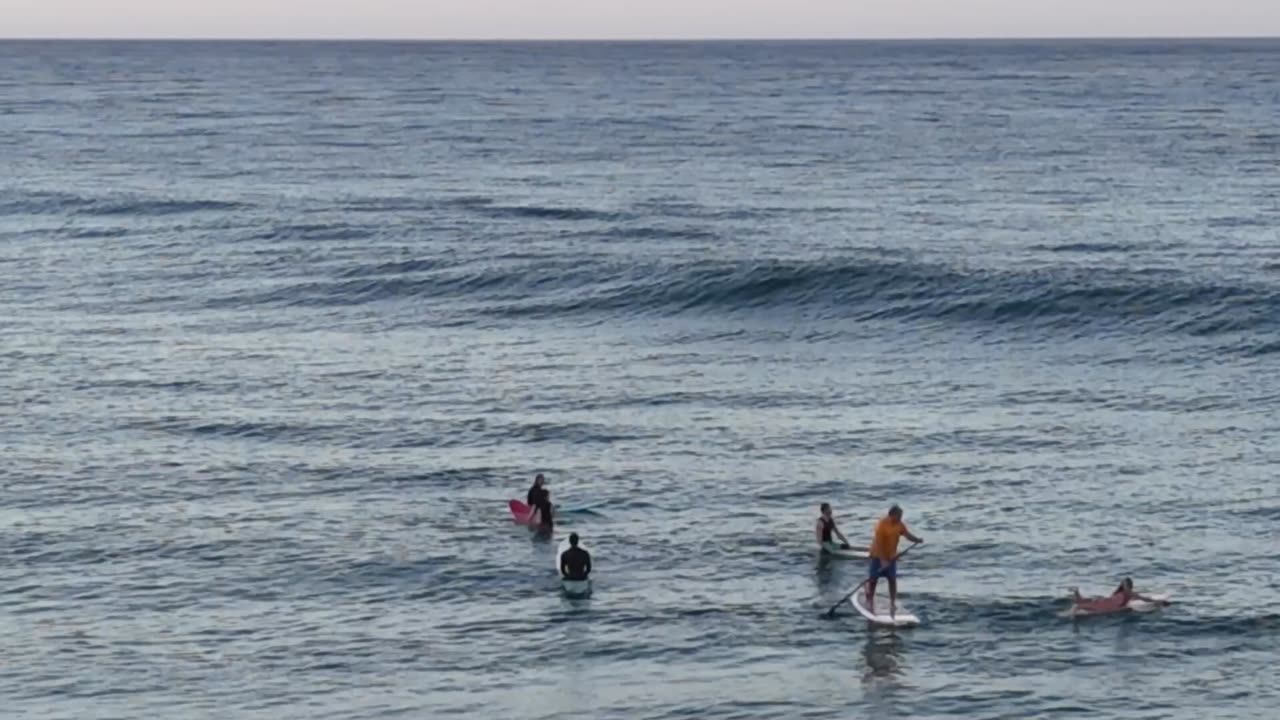 Laurie at the Ala Wai 2025-05-10 Sat 5-10'