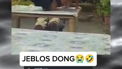 FUNNY MEMES VIDEOS
