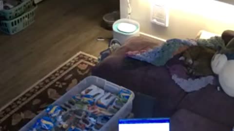 😱🤣 Nightmare Startle Caught on Camera! | FunFM