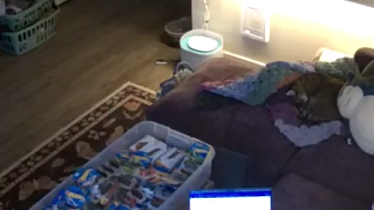 😱🤣 Nightmare Startle Caught on Camera! | FunFM
