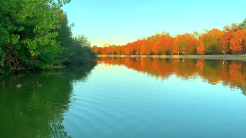 Relaxing music for Healing Minding / The charm of the natural ambience at sunset #relaxing #Calm