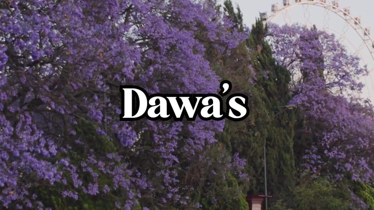 Chasing Life Is How We Miss It - Lama Dawa's Commentary