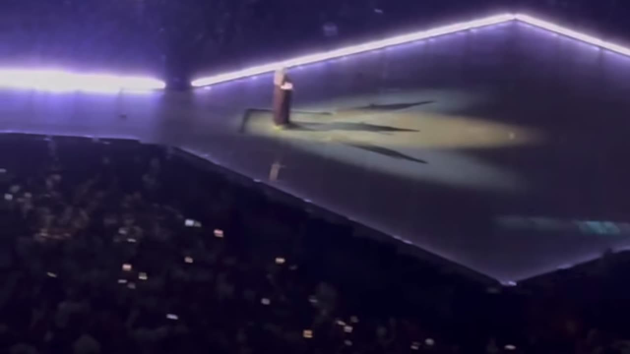 Taylor swift live from the eras tour - willow