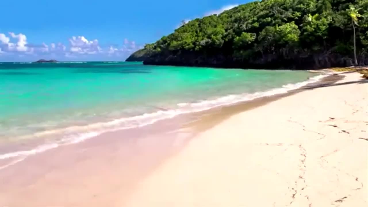 Tropical Beach nature relaxation sounds
