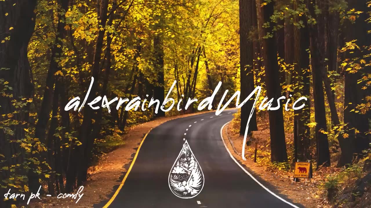 Indie/Rock/Alternative Compilation