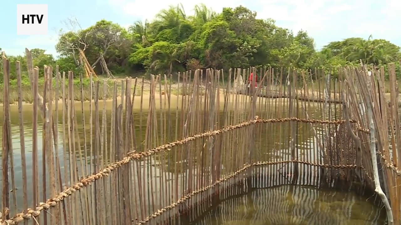 Traveling the World, Respecting the Earth