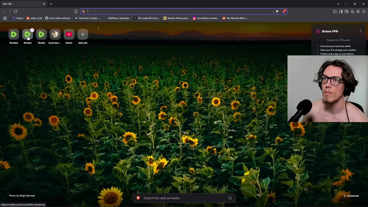 Cat Stream | Stray - Full Playthrough (6/3/2025)