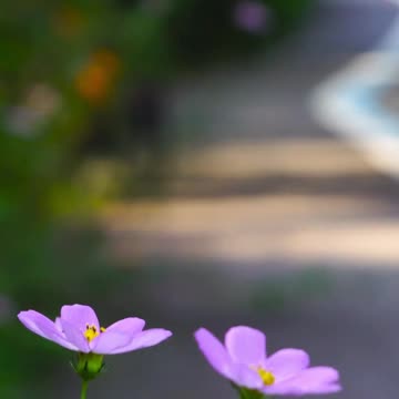 😊 2. LLAMA LO QUE AÚN NO VES Romanos 4:17 😊