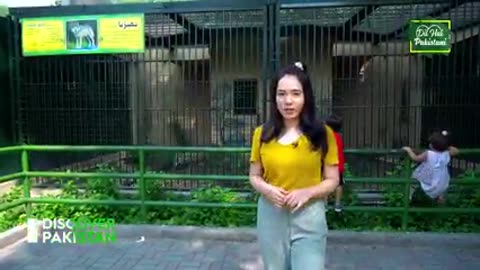 Lahore zoo