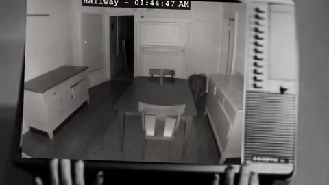 😨💥 Poltergeist Caught Throwing Objects in Kitchen! | TheHauntingHour