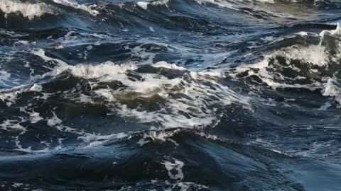 Daily Horoscope | Cancer 🌟