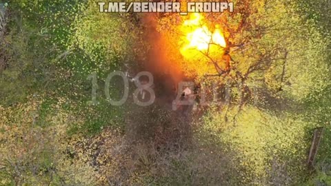 🪖🪖🪖🪖🪖🪖🪖🪖