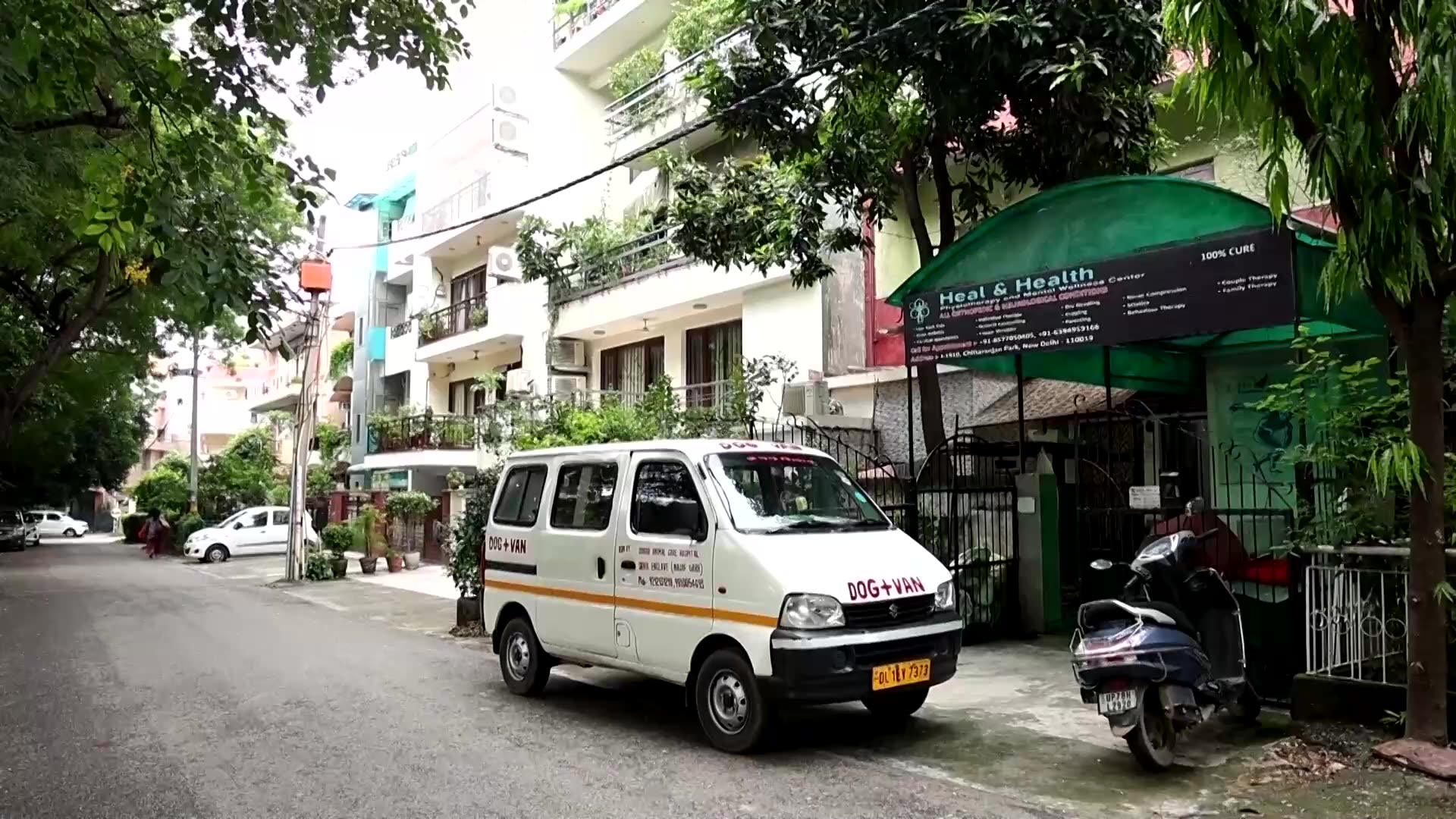 Indias top court revises stray dog policy after public outcry