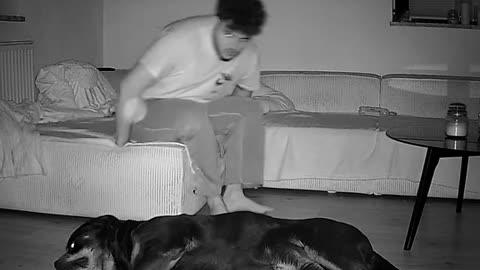 Sleeping Men with Dog's Comedy Videos 🤣 so cute videos 😍