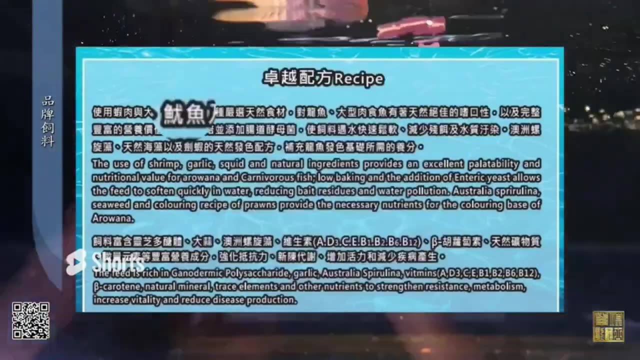 【龍爵士】第二代 龍魚 大型魚 專業飼料
